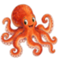 octopus